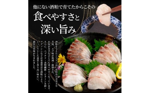 美粕祇万アジ 500g フィーレ 4パック フィーレ カマ アラ付 高級魚 刺身 刺身用 縞鯵 シマアジ 鯵 海鮮 鮮魚 新鮮 魚介 冷凍 魚 さかな 小分け 高知県 須崎市 SCM002 4人前 計500g 腹･背フィーレ 4パック･カマ･アラ出汁パック