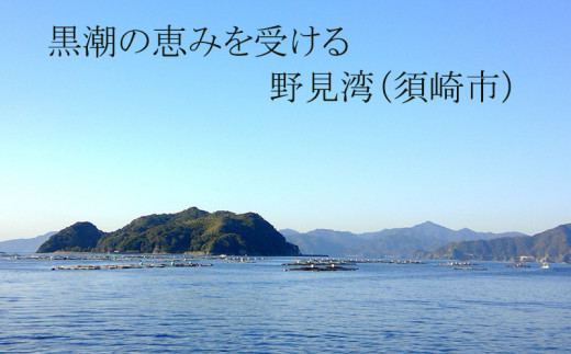 鯛 漬け丼 60g × 4パック | 海鮮 丼 醤油漬け 活き締め タイ マダイ 真鯛 惣菜 漬丼 お手軽 おかず 魚 刺身 小分け ギフト 人気 加工品 お茶漬け 冷凍 時短 国産 産地直送 みなみ丸 高知県 須崎市