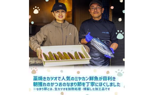 犬猫用 かつお ペットフード 10パック ドッグフード キャットフード 30g×10パック