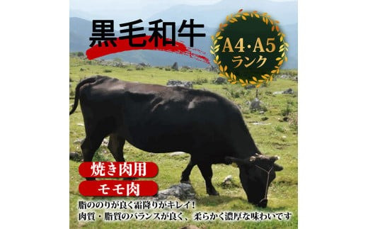 【定期3回】土佐黒毛和牛モモ肉焼肉用 計2.4kg【800g×3ヶ月連続お届け】