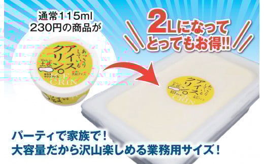 昔ながらの アイスクリーム 業務用 2L アイスクリン 高知アイス ふるさとの味 ご当地アイス あっさり 爽やか アイス バニラ 昔ながらの スイーツ デザート おやつ 高知県 須崎市 ICE039