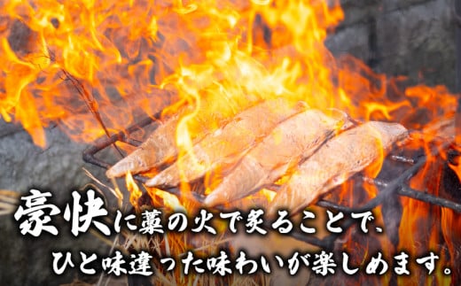 カツオ タタキ 650g以上 藁焼き かつおのたたき 鰹 特製 ポン酢 と 塩 付き こだわり 高知県産 鰹のタタキ 人気 おすすめ 高知県 須崎市 贈り物 ギフト NS004_2x 650g以上