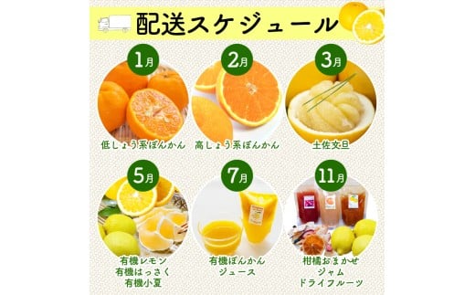 全 3回 3ヶ月 果物 定期便 ぽんかん 土佐 文旦 オーガニック 無農薬 防腐剤 不使用 高知県 須崎市 柑橘 蜜柑 みかん オレンジ フルーツ 果物 お取り寄せ 家庭用 高知県 須崎市 頒布会 3回定期便