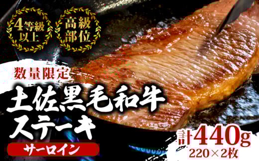 【2回定期】土佐黒毛和牛 食べ比べ 1240g 【計1.2kg以上】