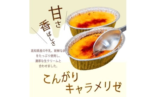 12ヶ月 定期便 濃厚 焦がしクリームブリュレ 9個 冷凍 アイス プリン カタラーナ スイーツ デザート 卵 お菓子 洋菓子 焼き菓子 氷菓子 ギフト おやつ キャラメル ミルク個 牛乳 生クリーム 包装 贈答 飯テロ 夜食 贅沢 ご褒美 贈り物 お取り寄せグルメ アフタヌーンティー 高知県 須崎 クリームブリュレ定期9個×12回