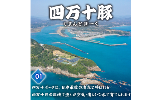 豚肉 とんかつ 720g 6人前 ブランド豚 四万十ポークカツ 豚カツ バーベキューソース付き 高知県 須崎市 ME004_2x 6人前(720g)