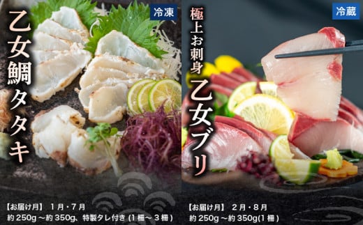 刺身 定期便 6ヶ月 小容量 コース 小島水産 がお届けする！ 美味しい お刺身 ( 鮮魚 下処理済 ) 産地直送 半年 新鮮 6回 （ ブリ かつおタタキ タイ カンパチ 鰤 鰹 真鯛 環八 魚 海鮮 鮮魚 刺身 タタキ ） おさかなのまち すさき 海鮮 鮮度 少人数 人気 高知県 須崎市 KS30000-k 小容量(お好きな魚・かつおタタキ)