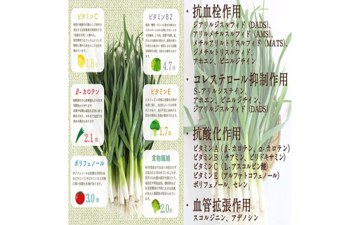 有機葉ニンニクと四万十豚で作った最高級餃子（6個x8パック）完全無添加 48個(6個x8パック)