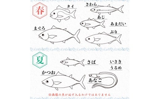 【魚屋のプロが厳選！】 鮮魚 BOX 4kg 4kg
