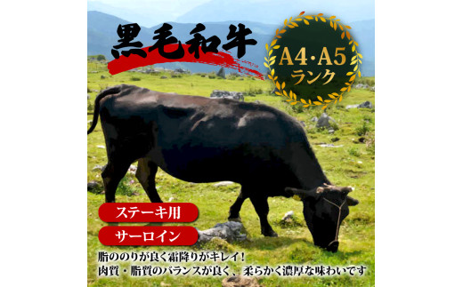 【定期12回】土佐黒毛和牛サーロインステーキ 計5.28kg【440g×12ヶ月連続お届け】 2Tコース