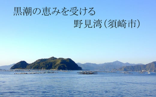鯛 漬け丼 60g × 4パック | 海鮮 丼 醤油漬け 活き締め タイ マダイ 真鯛 惣菜 漬丼 お手軽 おかず 魚 刺身 小分け ギフト 人気 加工品 お茶漬け 冷凍 時短 国産 産地直送 みなみ丸 高知県 須崎市