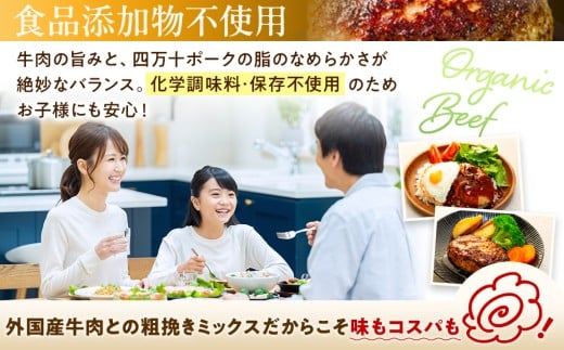 SNM012_11 【11月配送】【ソース付き】四万十ポーク入りハンバーグ 1.2kg(200g×6個) 【2月発送】1.2kg