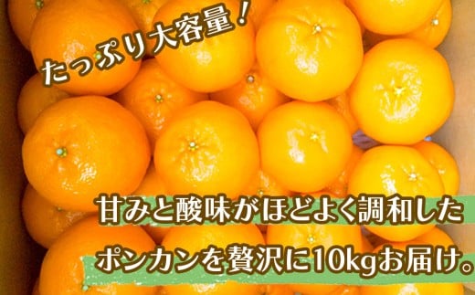 【 早期予約開始 】 ポンカン 訳あり 10kg 2026年 1月下旬より順次発送 収穫分 無農薬 ブランド サイズ混合 家庭用 立目産ぽんかん 柑橘 みかん 高知県 須崎市 MO005 10kg訳あり