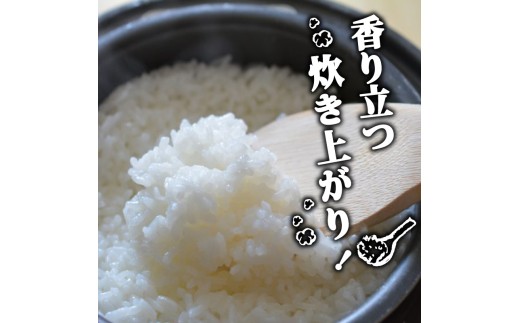 2025年 コシヒカリ 3Kg 産地直送 高知県産 白米 精米 こしひかり 米 常温 配送 ブランド米 国産 米 早場米 人気 天然 恵み 心 高知県 須崎市 SI001 ３kg