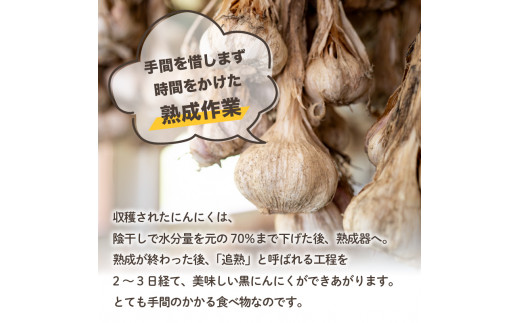 【早期予約】 訳あり 黒にんにく150g  あわ地区 野菜 高知 須崎