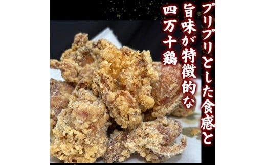  四万十鶏 唐揚げ用【特製たれ漬け】１６人前 【道の駅須崎】 2.4kg(16人前)