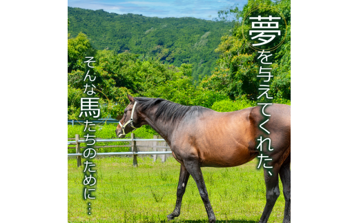 競走馬 引退後はどこへ？ 黒潮友馬会応援 【500万円コース】 500万円コース