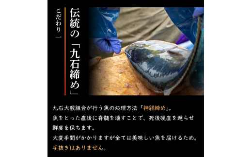 船上 神経締め 天然 鮮魚 詰め合わせ 朝獲れ直送 下処理済み 2~3種入り 500g以上 （2026年3月出荷） 冷凍 刺身 魚種お任せ 水揚げ 海鮮 魚介 産地直送 新鮮 魚 鮮魚ボックス 2026年3月出荷 500g（冷凍）