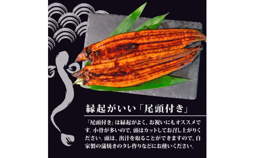 【肉厚】 うなぎ蒲焼き 1.2kg（120～140×10尾）/ 鰻 ウナギ かば焼き 冷凍
