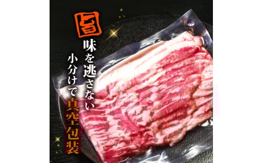 【定期3回】四万十ポークスライス 計2.7kg【900g×3ヶ月連続お届け】 2Bコース