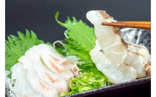 鯛 タイ 刺身 まるごと 1匹分 約600g～800g 鮮魚 炙り 柵  魚 産地直送 高知県 須崎市