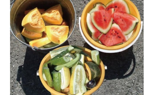 最高級 キジ鍋 セット キジ肉 と オーガニック 葉 にんにく の 豪華 10点 鍋セット 鍋 お鍋 鳥肉 肉 とりにく パック おかず ジビエ 料理 有機栽培 有機 スープ 塩 塩だれ 辛味噌 味噌 セット つみれ つみれ鍋 冷凍 大量 大容量 高知県 須崎市 EA0802