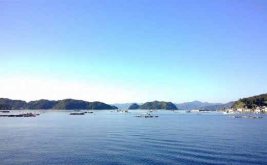 鯛 漬け丼 海鮮 丼 タイ 日本最高峰評価のマダイ 海援鯛の漬け丼 セット お茶漬け 産地直送 高知県 須崎市