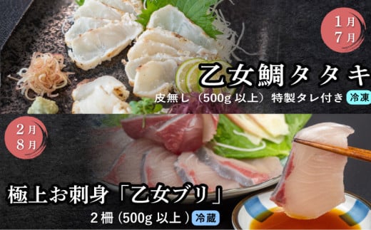 刺身 定期便 6ヶ月 小島水産 がお届けする！ 美味しい お刺身 大容量 コース ( 鮮魚 下処理済 )  産地直送 半年 新鮮 鮮魚 ( 6回 お楽しみ 定期便 お刺身 かつお タタキ カツオ 鰹 鯛 たい 真鯛 タイ 鰤 ぶり ブリ 勘八 カンパチ かんぱち シマアジ 縞鯵 しまあじ 高級魚 魚貝 ) KS28000-5x 大容量