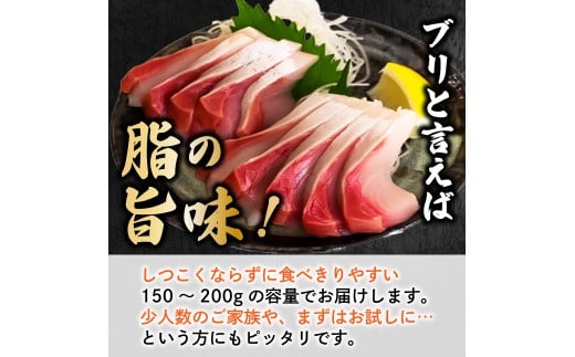 ブリ 刺身 150g以上 鰤 ブロック