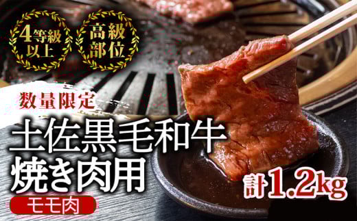 【6回定期】土佐黒毛和牛 食べ比べ 6060g 【計6kg以上】