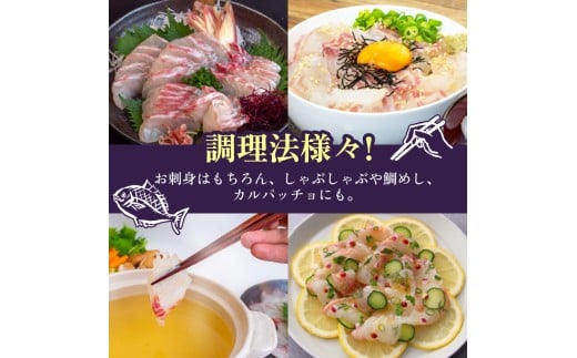 真鯛 タイ お刺身 250g 産地直送 冷蔵 醤油 セット 新鮮 鮮魚 養殖 皮引き 柵 スキンレス ロイン 鯛 たい タイ 年末年始 正月 お食い初め 刺身 しゃぶしゃぶ 鯛しゃぶ 鍋 鯛めし 鯛茶漬け 出汁茶漬け 漬け カルパッチョ タタキ 炙り 塩焼き 煮込み 料理 10000円 高知県 須崎市 YI011