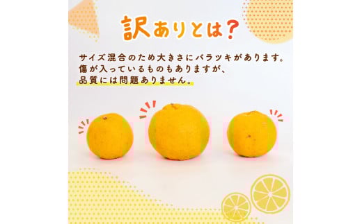 【早期予約 2026年2月上旬より順次発送】 訳あり ぽんかん 10kg サイズ混合 オーガニック 無農薬 防腐剤 不使用 有機 JAS認定 柑橘 みかん 蜜柑 家庭用 10kg