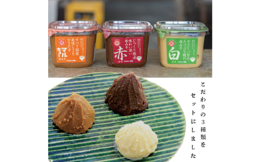 自家製 味噌 3種 500g 9パック 4.5kg セット 国産 マルキョー味噌 赤味噌 白味噌 詰め合わせ みそ 味噌汁 お味噌汁 大豆 米 調味料 発酵調味料 職人 手作り 高知県 須崎市 500g × 9パック (3種3パックずつ)	