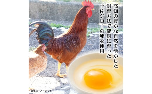 バニラ もなか 6個セット 土佐ジロー 高知アイス 最中 ご当地アイス 濃厚 卵 ご当地 アイス アイスクリン ブランド鶏 アイスクリーム 夏 氷菓 ファミリー おやつ デザート スイーツ 高知県 須崎市 ICE022 6個セット