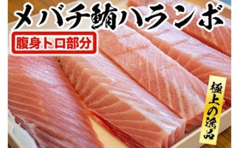 【訳あり】 キハダマグロの赤身とメバチマグロの腹身のセット まぐろ赤身 鮪の刺身 まぐろのハランボ 鮪のトロ 食べ比べ