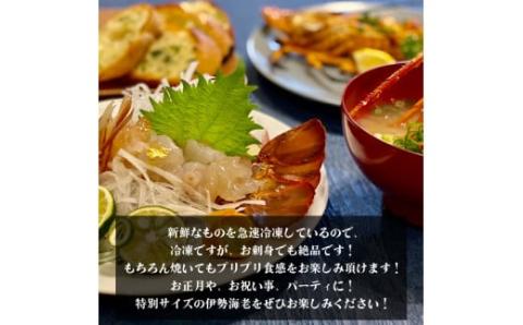 【2025年4月より順次配送】超特大伊勢海老 800g以上を1尾 【高知県】