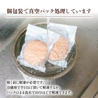 ハンバーグ 2.4kg 1年 12回 定期便 【四万十ポーク使用】