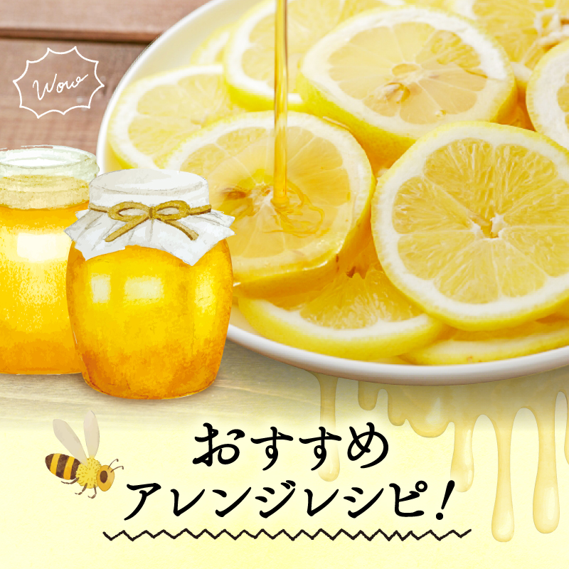 【限定10セット！】須崎市安和地区 2023年採蜜 日本ハチミツ２本セット！AWA001