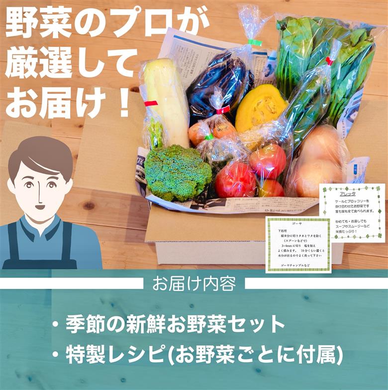 あわ地区 旬な野菜の詰め合わせセット (8品程度】 AWA009_x