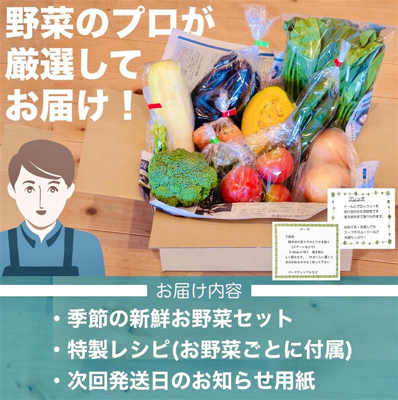 【3ヶ月定期便】 訳あり あわ地区 旬の野菜詰め合わせ