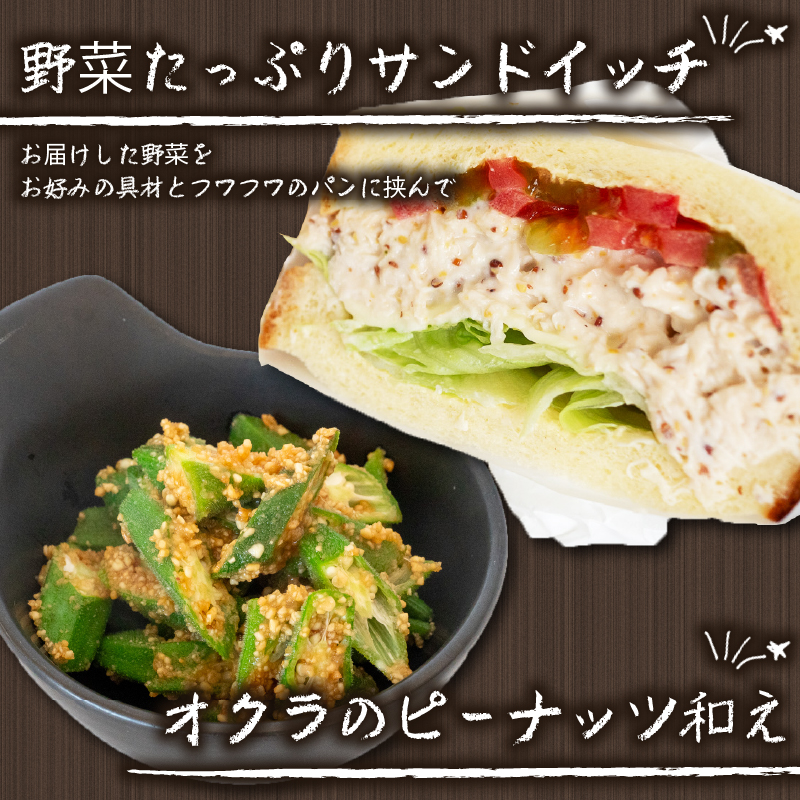 南国高知よりまごころ野菜セット 野菜でお家ごはん 【6～8品目】