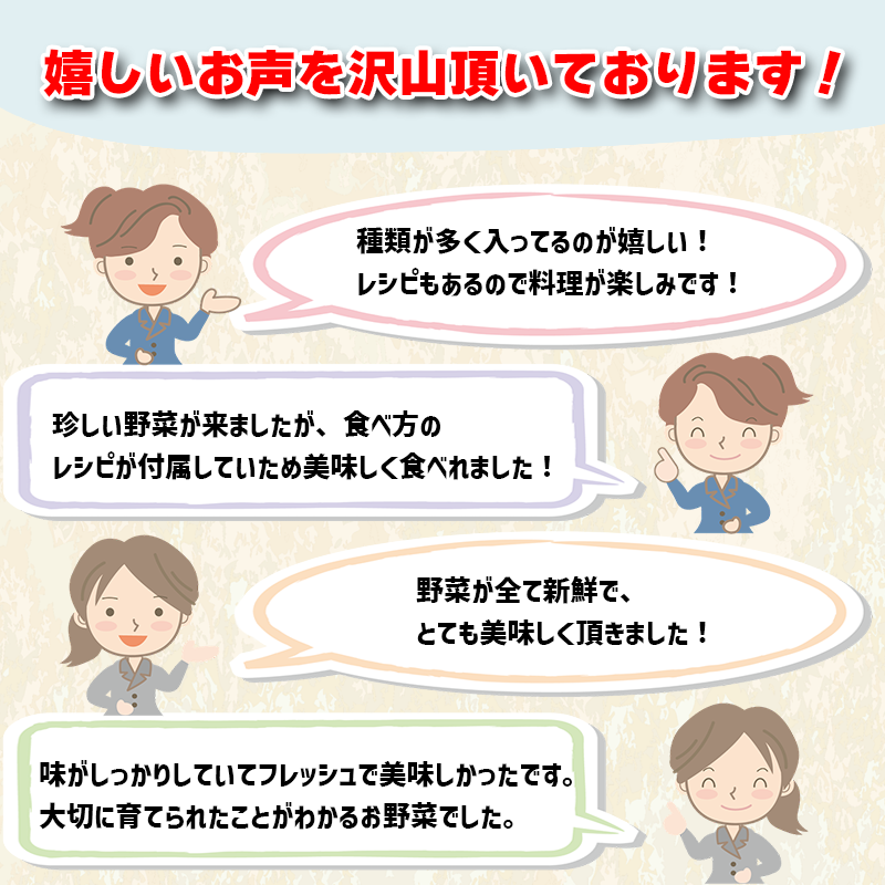 【年末年始限定】毎月の野菜便り『高知の野菜12回お届け定期便』 定期便 野菜