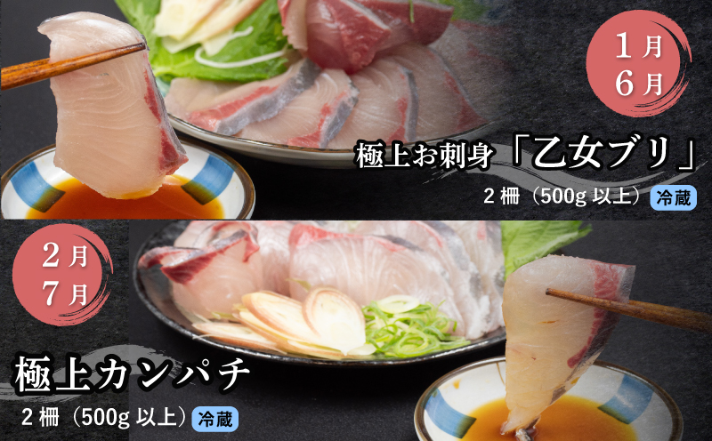 刺身 定期便 【 12ヶ月 】 小島水産 がお届けする！ 美味しい お刺身 1年 コース ( 鮮魚 下処理済 ) 産地直送 12回 新鮮 鮮魚 （ 鰤 ブリ 勘八 カンパチ 鯛 乙女鯛 真鯛 マダイ かつおのタタキ 鰹 カツオ 鰹のたたき 縞鯵 シマアジ ） 刺身 高知県 須崎市