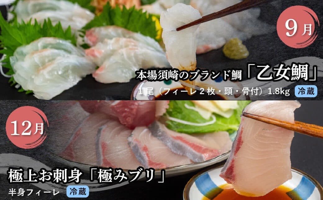 【 4回 定期便 】 厳選 海鮮定期便 小島水産 刺身 カンパチ カツオ 鯛 ブリ 4ヶ月 かつお わら焼き たたき  | 藁焼き カツオ 鰹 高知 かつおのたたき 勘八 鰤 タイ 4回定期便 かつおたたき定期便 魚定期便 小島水産 高知県 須崎市