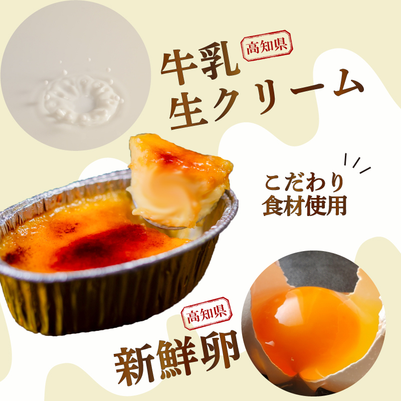 12ヶ月 定期便 濃厚 焦がしクリームブリュレ 9個 冷凍 アイス プリン カタラーナ スイーツ デザート 卵 お菓子 洋菓子 焼き菓子 氷菓子 ギフト おやつ キャラメル ミルク個 牛乳 生クリーム 包装 贈答 飯テロ 夜食 贅沢 ご褒美 贈り物 お取り寄せグルメ アフタヌーンティー 高知県 須崎