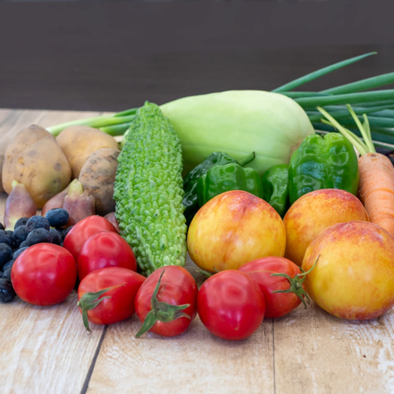 野菜 ･ 果物 10 ～ 13 種類 セット | 季節 旬 野菜 詰め合せ 国産 季節 旬 おまかせ 産地直送 春野菜 夏野菜 秋野菜 きのこ 葉物 果物 果菜 根菜 冷蔵 野菜室 食 栄養食 加工品 季節限定 山菜 ブロッコリー たまねぎ サラダ トマト 高知県 須崎市 ME001-x