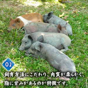  四万十ポークカツ【特製たれ付き】6人前 【道の駅須崎】