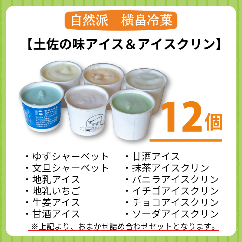 高知 名物 アイスクリン ふるさとの味アイス 12個 セット 【 ゆず 文旦 甘酒 ミルク いちごミルク 生姜 バニラ 抹茶 いちご チョコ ソーダ 人気 カップ スイーツ バラエティ おやつ 詰め合わせ デザート 詰合せ 】 【道の駅須崎】