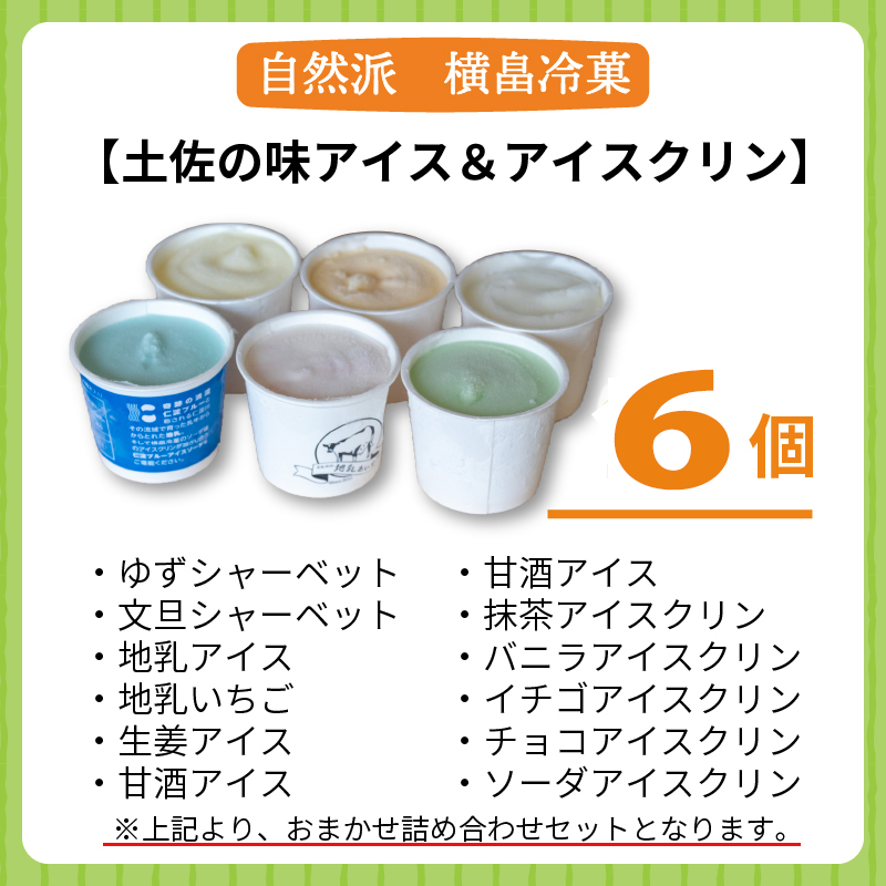 高知 名物 アイスクリン ふるさとの味アイス 6個 セット 【 ゆず 文旦 甘酒 ミルク いちごミルク 生姜 バニラ 抹茶 いちご チョコ ソーダ 人気 カップ スイーツ バラエティ おやつ 詰め合わせ デザート 詰合せ 】 【道の駅須崎】
