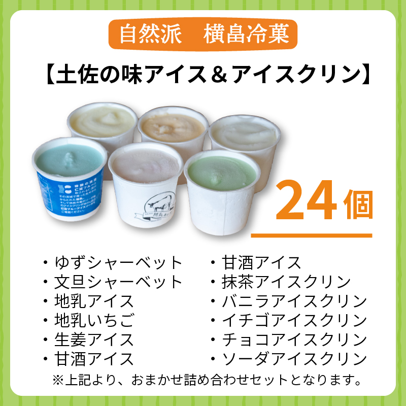 高知 名物 アイスクリン ふるさとの味アイス 24個 セット 【 ゆず 文旦 甘酒 ミルク いちごミルク 生姜 バニラ 抹茶 いちご チョコ ソーダ 人気 カップ スイーツ バラエティ おやつ 詰め合わせ デザート 詰合せ 】 【道の駅須崎】